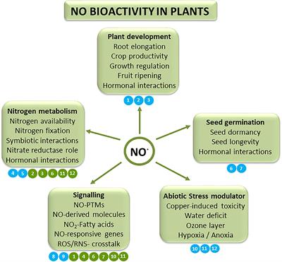 Editorial: Nitric Oxide in Plants